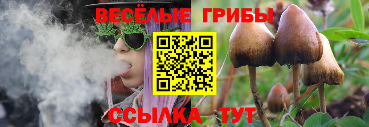 Псилоцибиновые грибы Cubensis  Псилоцибиновые грибы мицелий  Котовск  Вход с VPN 